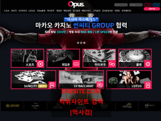오퍼스.OPUS.1 sxh59.com