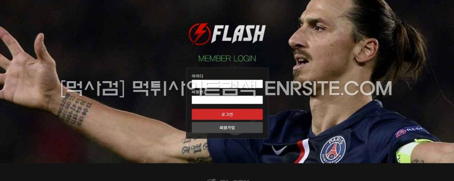 플래쉬.5.FLASH